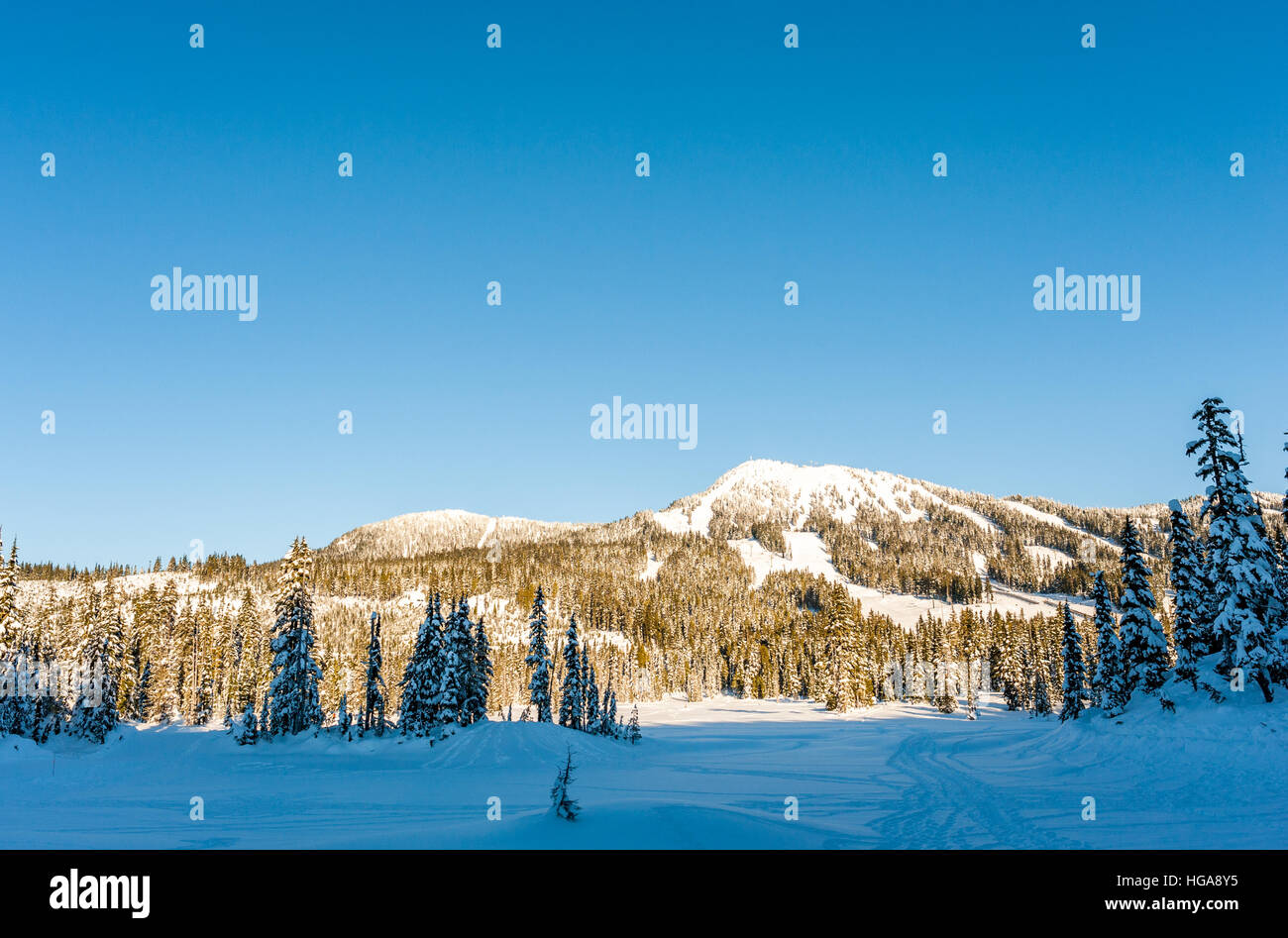 Winterschnee bedeckt Blick auf Mt. Washington vom Paradies Wiesen in Strathcona Provincial Park, Britisch-Kolumbien, Kanada Stockfoto