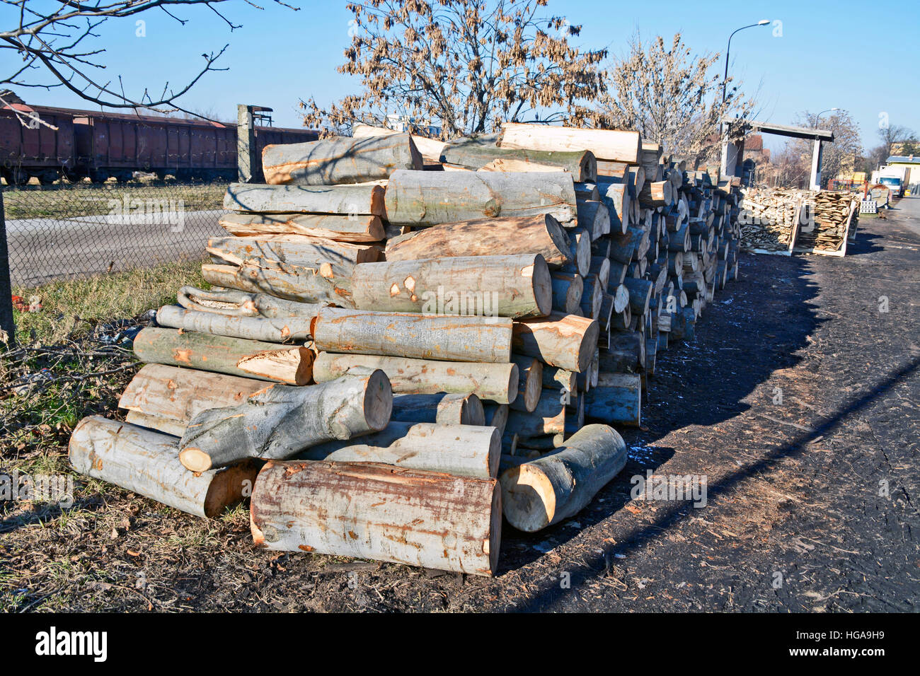 Holzschnitt auf dem Betriebshof des Protokolls und zum Verkauf bereit. Stockfoto