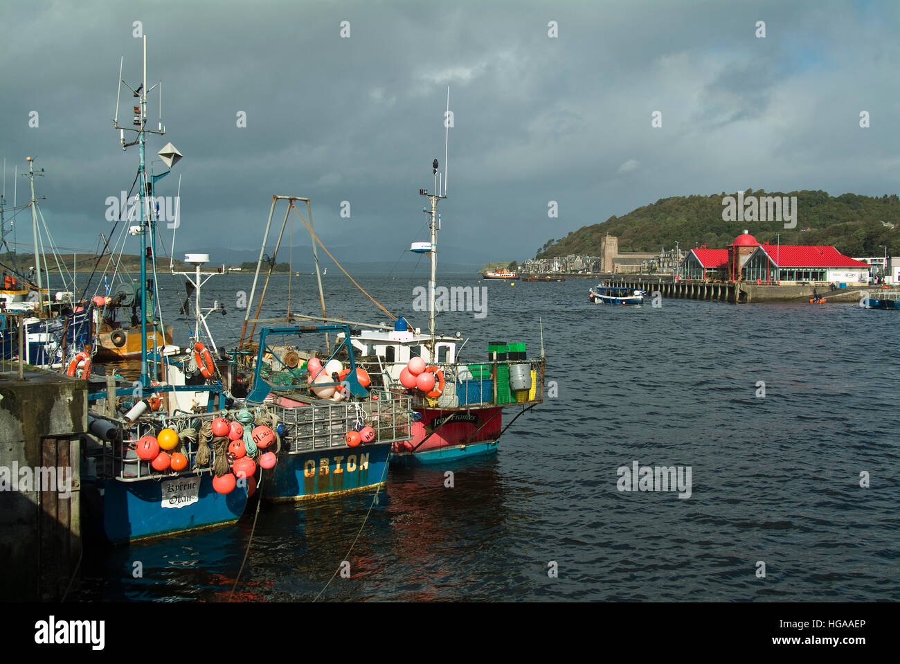 Angelboote/Fischerboote im Dock in Oban, Schottland, Vereinigtes Königreich. Stockfoto