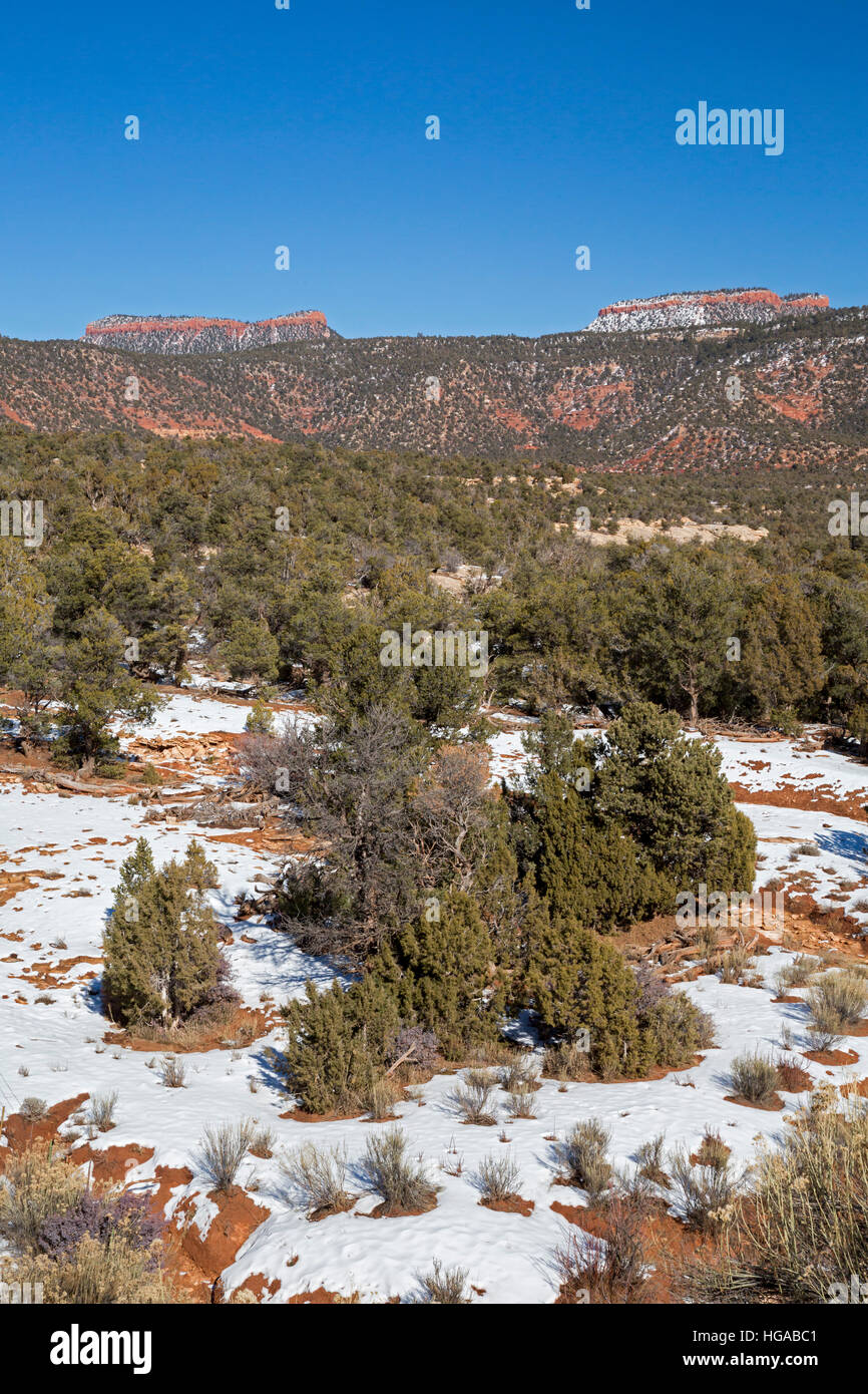 Blanding, Utah - Bären Ohren National Monument, das 1,35 Millionen Hektar im südöstlichen Utah schützt. Stockfoto