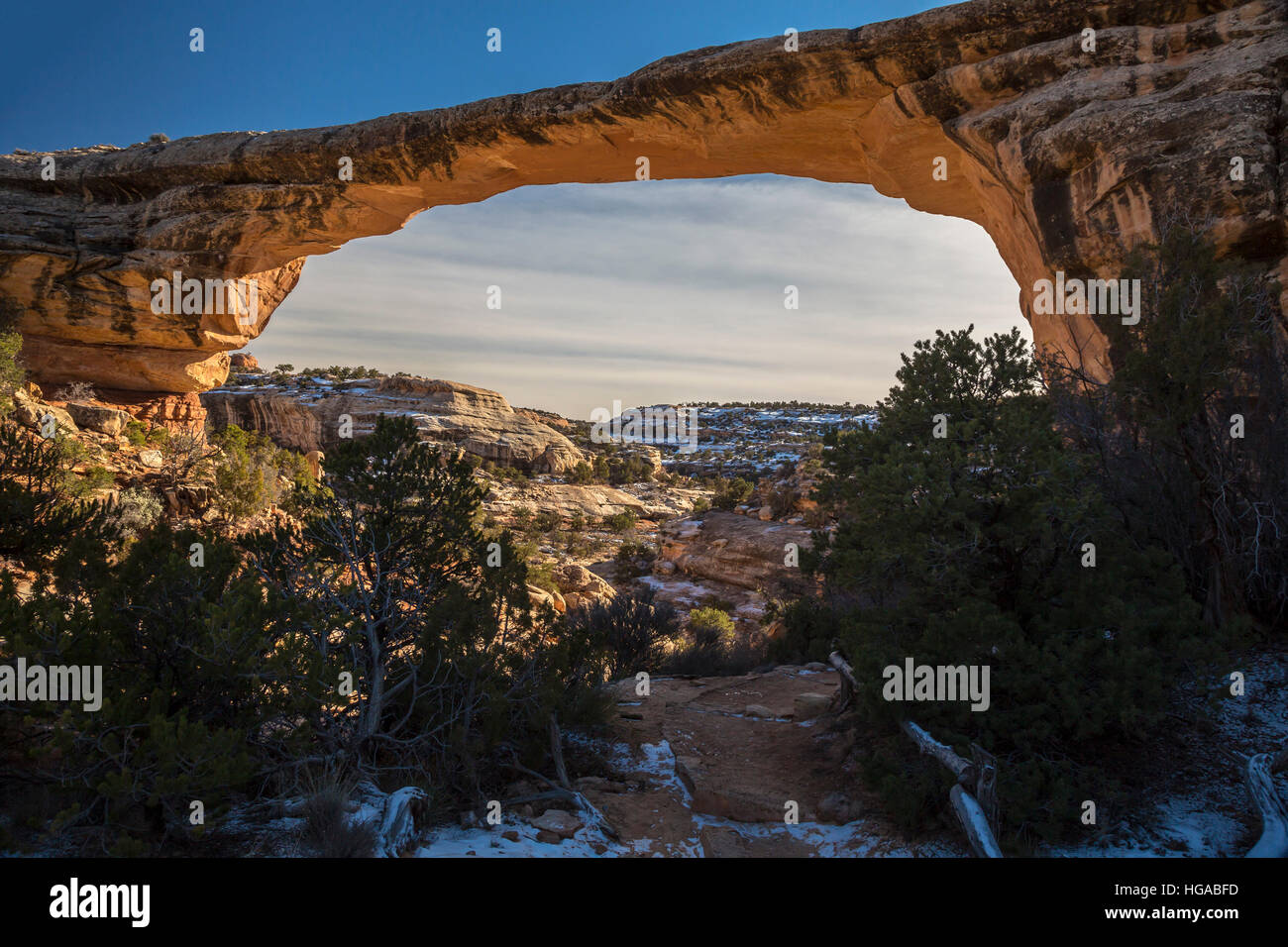 Natural Bridges National Monument in Utah - der Owachomo-Brücke, einer der drei natürlichen Brücken in das Denkmal. Stockfoto