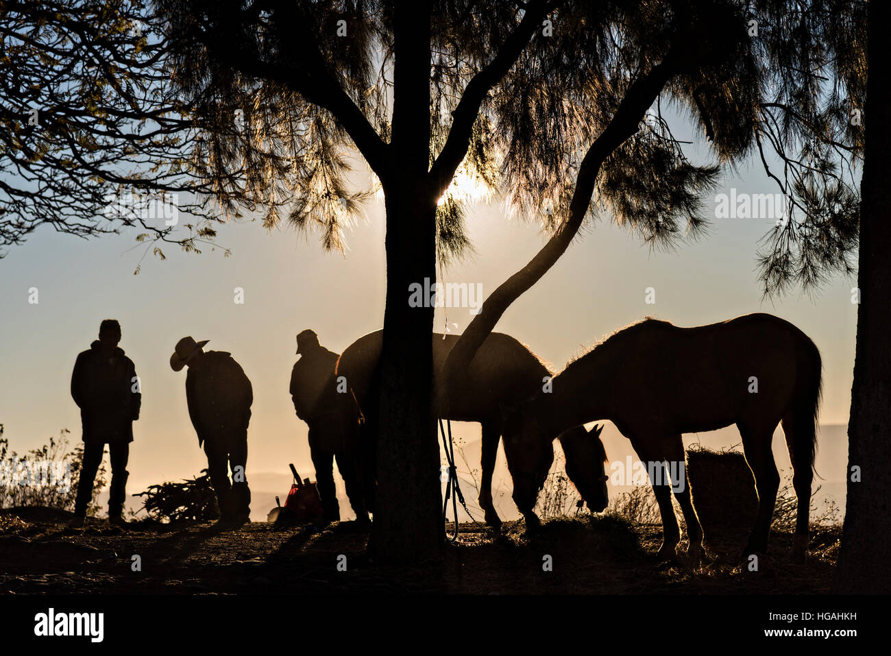 Silao, Mexiko. 6. Januar 2017. Mexikanische Cowboys bei Sonnenaufgang nach verbringen Wallfahrt die Nacht am Klondike Mountain während der jährlichen Cabalgata de Cristo Rey 6. Januar 2017 in Guanajuato, Mexiko. Tausende von mexikanischen Cowboys und Pferde beteiligen sich die drei-Tages-Fahrt zum Berggipfel Schrein von Christo Rey. © Planetpix/Alamy Live-Nachrichten Stockfoto