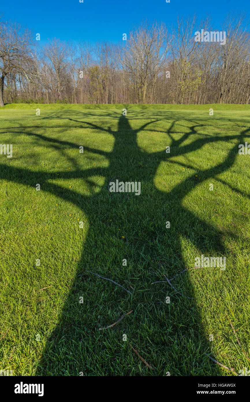 Baum Schatten durchqueren die Landschaft der Hügel-Stadt-Gruppe, wo eine Zivilisation der frühen amerikanischen Indianer blühte vor etwa 2.000 Jahren nun genügte Stockfoto