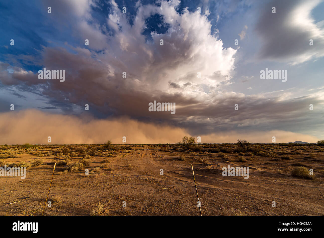 Habub Staub und Sand Sturm über der Wüste in der Nähe von Phoenix, Arizona Stockfoto