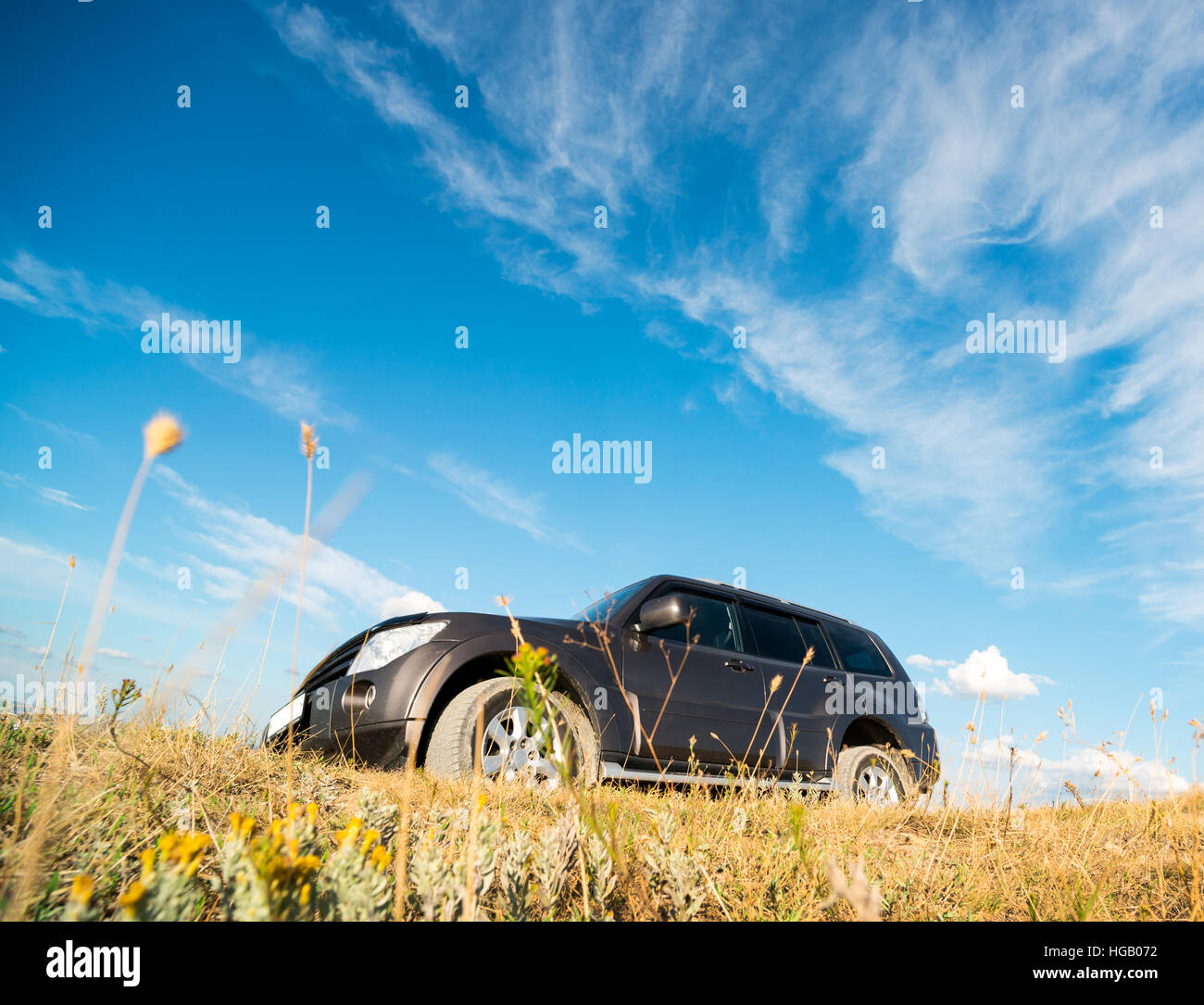 Jeep in natürlichen Lebensraum (Formen, Details und Farbe hier ist übermäßig verarbeitete) Stockfoto