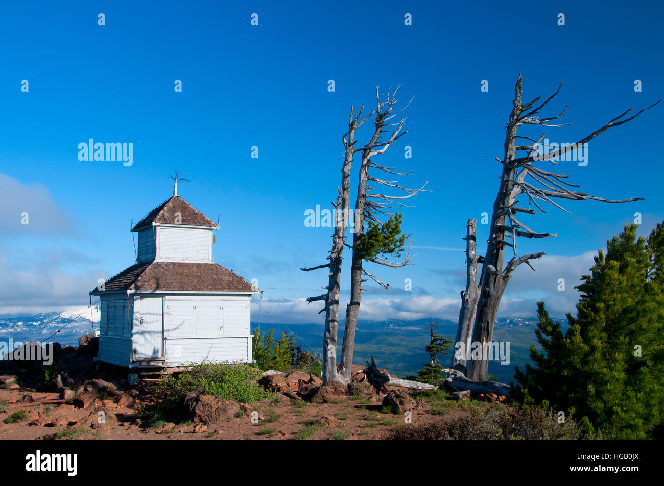 Black Butte Kuppel, Deschutes National Forest, Oregon Stockfoto