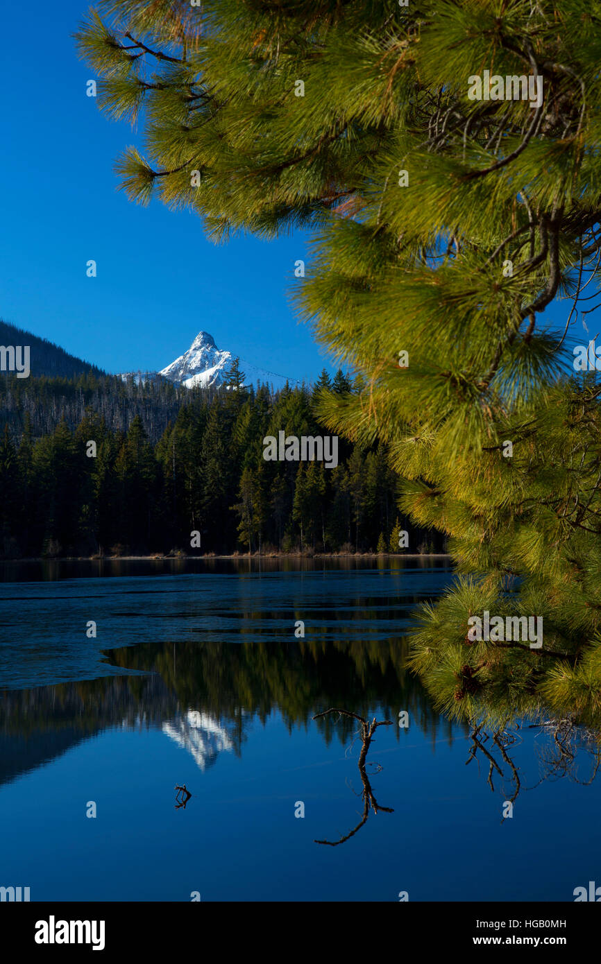 Mt Washington von Suttle Lake Trail, McKenzie Pass-Santiam Pass National Scenic Byway, Deschutes National Forest, Oregon Stockfoto