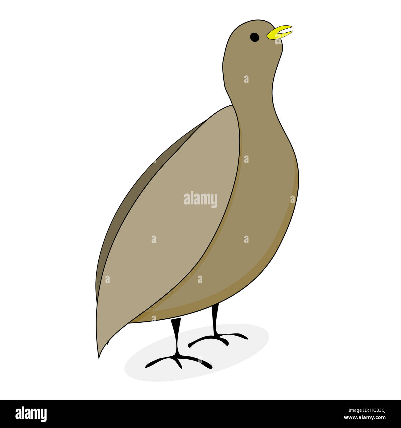 Wachtel Vogel Charakter Vektor. Ccartoon Tier Wachtel Abbildung Stockfoto