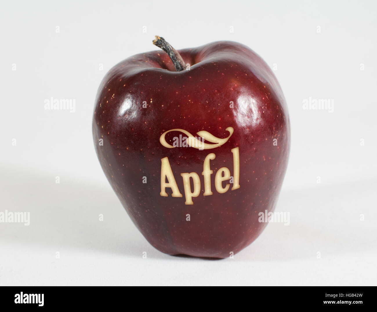 1 frischer roter Apfel mit der Aufschrift - Apfel - im deutschen Wörter auf weißem Hintergrund Stockfoto