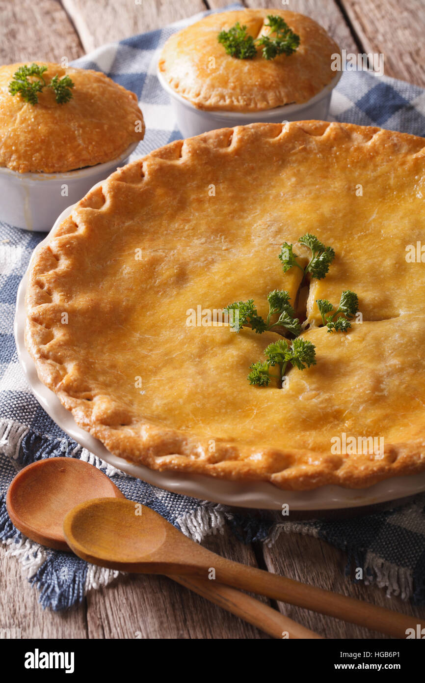 Heißer köstlichen Hühnerpastete in die Auflaufform hautnah auf dem ... Heißer köstlichen Hühnerpastete in die Auflaufform hautnah auf dem ...