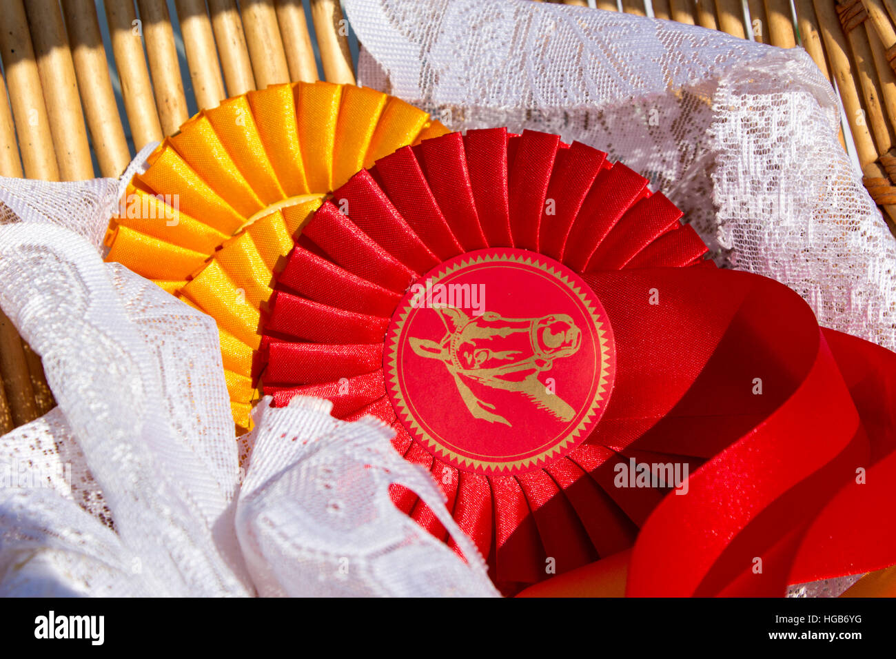 Award-Rosetten für Sieger im Pferdesport mit roten und gelben Farben Stockfoto