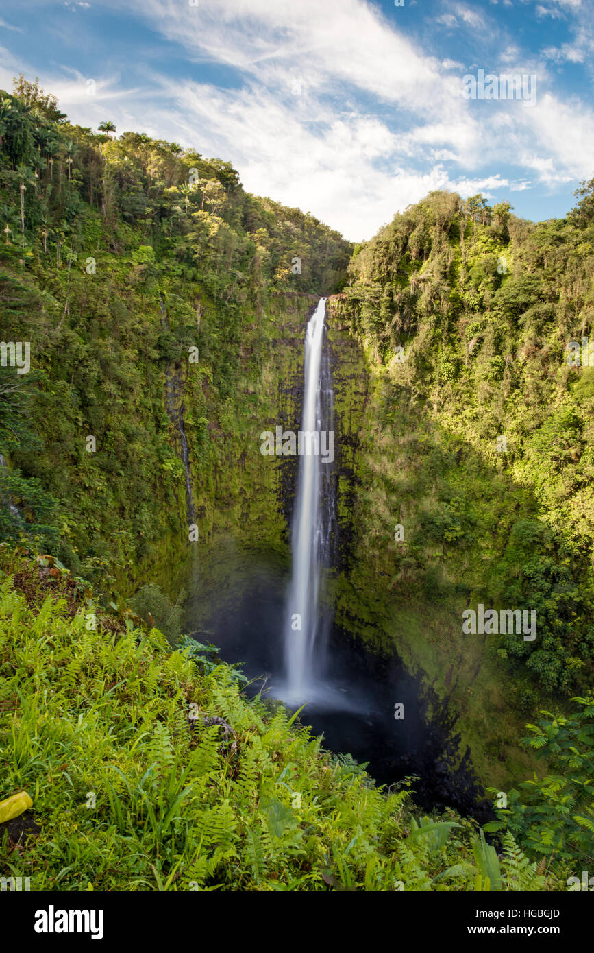 Akaka Wasserfälle aus der Big Island von Hawaii. Die Insel ist Heimat von unglaublichen Wasserfällen, die wirklich beeindruckend sind. Stockfoto