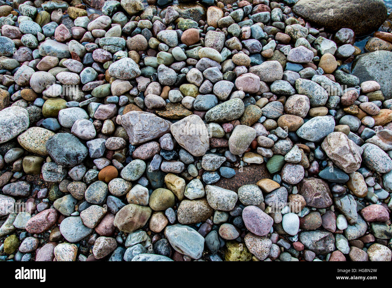 Viele große und kleine Kiesel Steinen, an einem Strand, Insel Rügen, Ostseeküste, Deutschland Stockfoto
