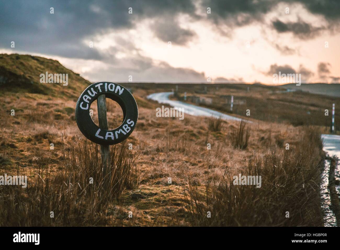 Vorsicht Lämmer Zeichen steht in den North Pennines Area of Outstanding Natural Beauty im Norden von England. Stockfoto