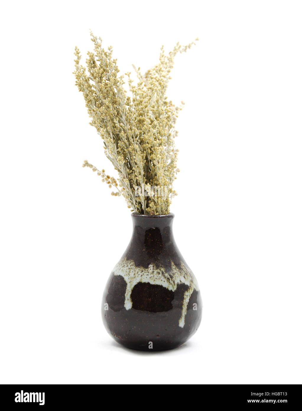Getrockneten Salbei in Vase. Interior Design & Blumenstück Anordnung. Stockfoto