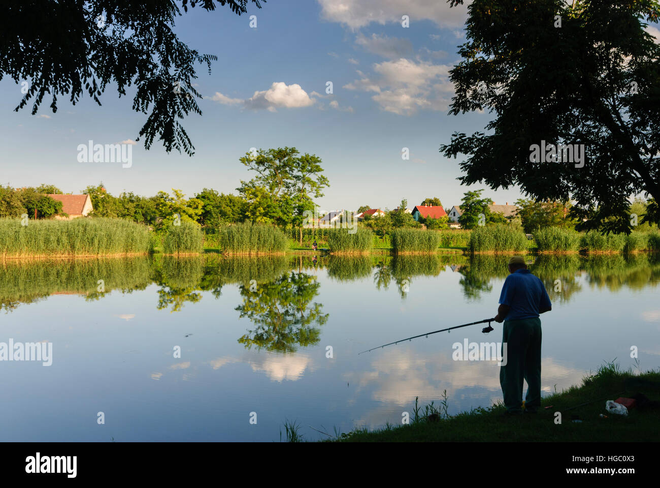 Darnozseli: Dorfteich auf der kleinen Schüttinsel, Györ-Moson-Sopron, Ungarn Stockfoto