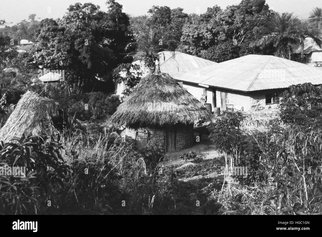 Alte und neue Dächer in Jaiama Nimi Koro, Sierra Leone, 1962. Stockfoto