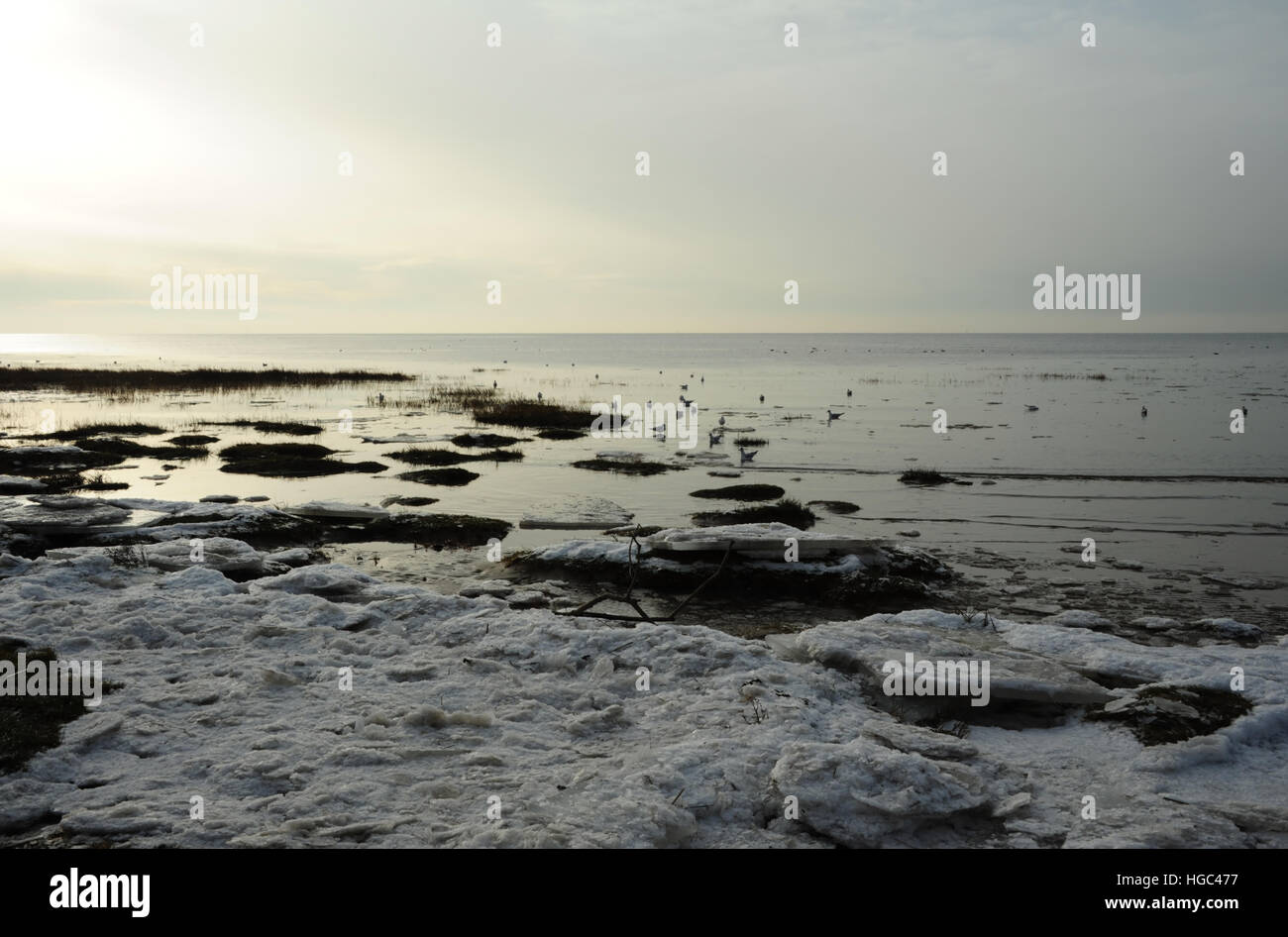 Graue Wolken Blick auf Salzwiesen, Meer Eisrand zurückweichenden ruhigem Meerwasser mit Schwimmvögel, Strand östlich von St. Annes, Lancashire Stockfoto