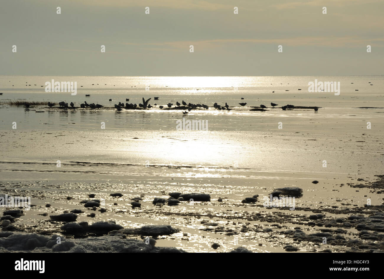 Graue dunstige Wolken sehen Meer Eis Blöcke Rand des weißen Sonnenschein ruhig Meerwasser mit Seevögeln Silhouetten, Strand östlich von St. Annes, UK Stockfoto