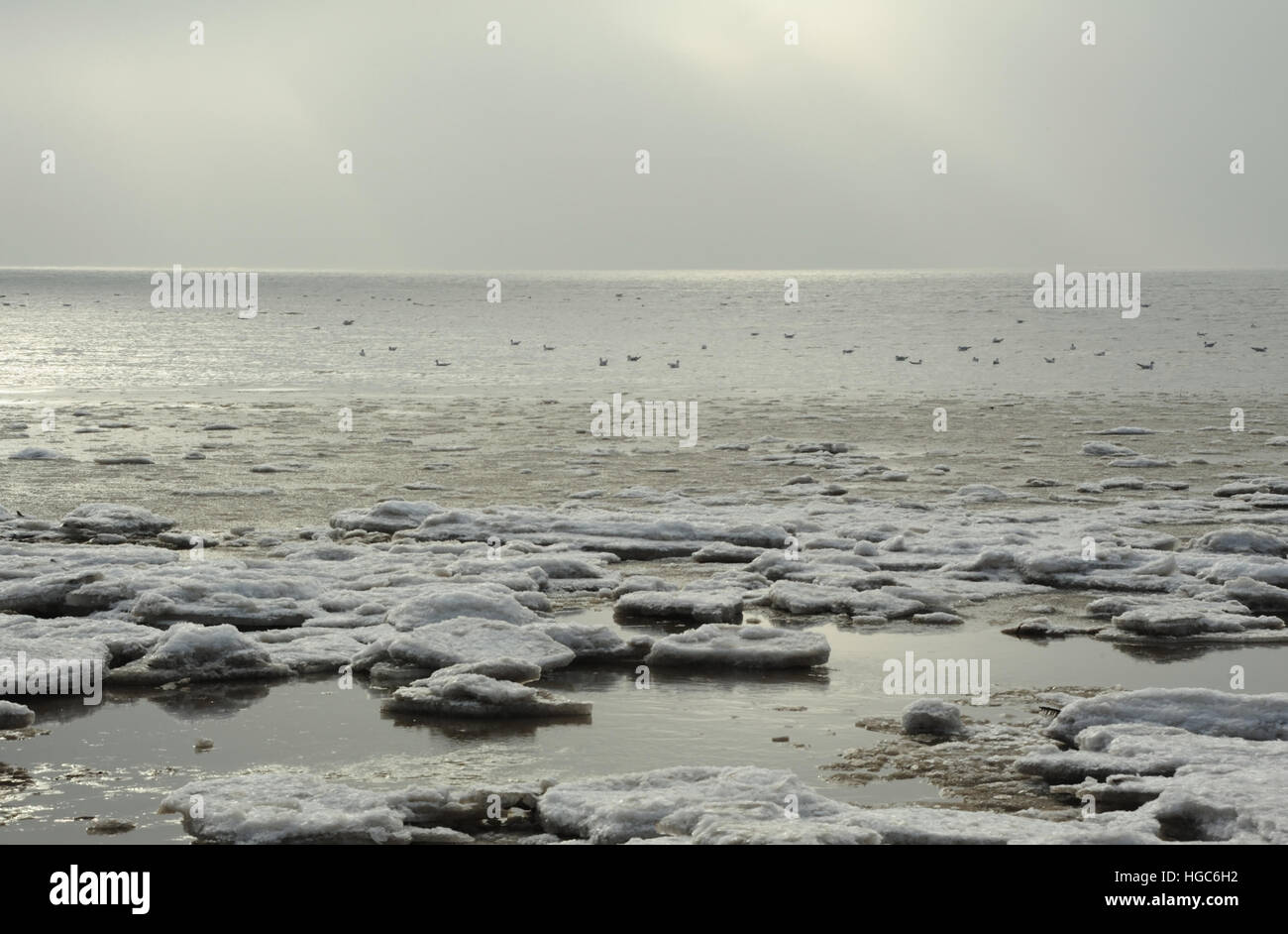 Grauer Himmelsblick auf zurückweichenden Meer mit Schwimmbad Möwen, Land-schnell See Eisblöcke am Strand östlich von St. Annes, Lancashire, UK Stockfoto