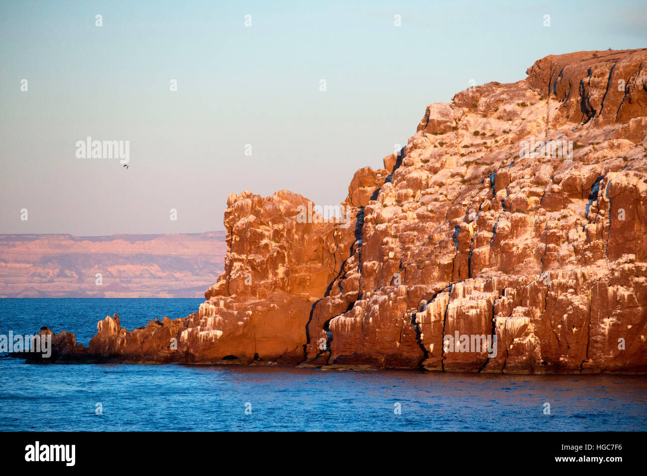 Die Guano beschichtet Klippen Los Islotes Seelöwen Rookery, Sea of Cortez, Baja California, Mexiko. Kalifornische Seelöwen Zalophus Californianus Mexic Stockfoto