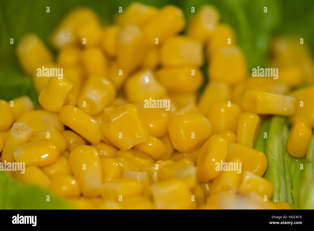 Mais auf Blatt Salatteller Stockfoto