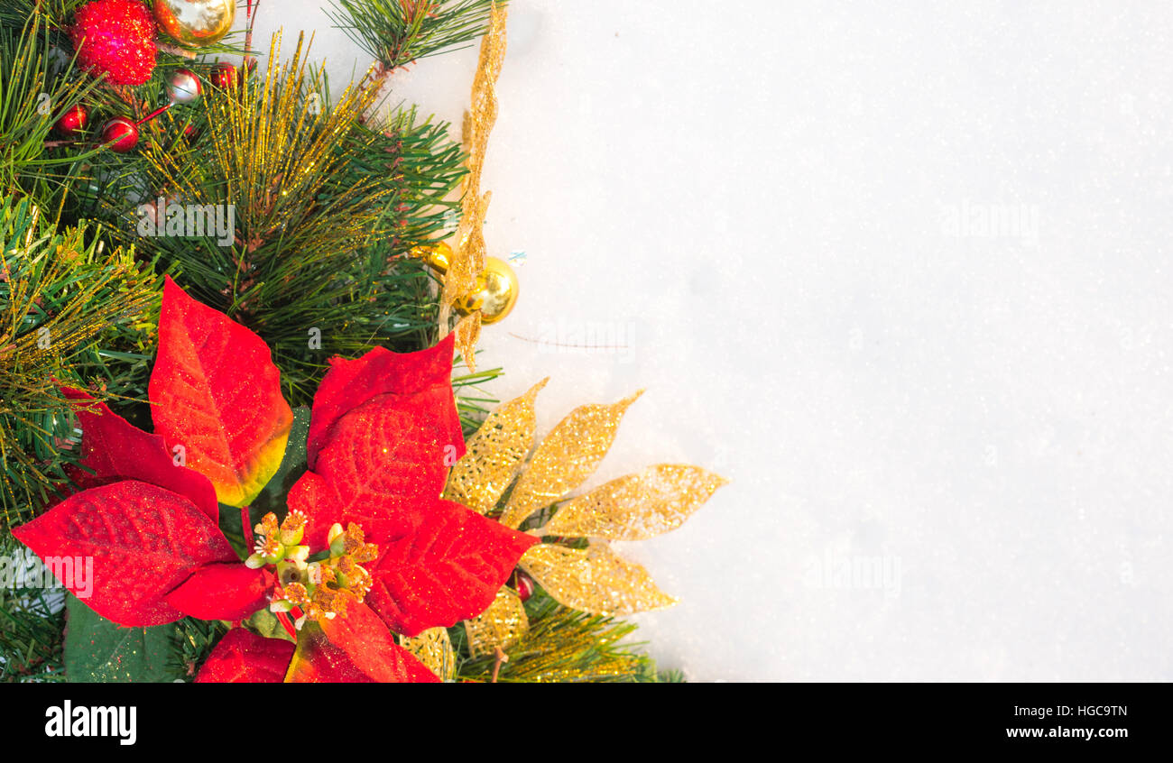 Weihnachten Urlaub faux Weihnachtsstern Kiefer Kranz mit weißen Exemplar. Stockfoto