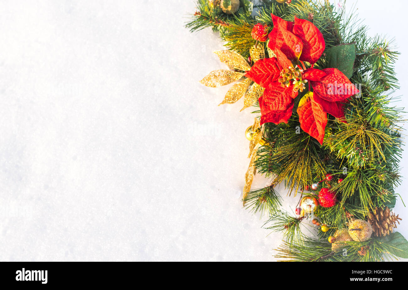 Weihnachten Urlaub faux Weihnachtsstern Kiefer Kranz mit weißen Exemplar. Stockfoto