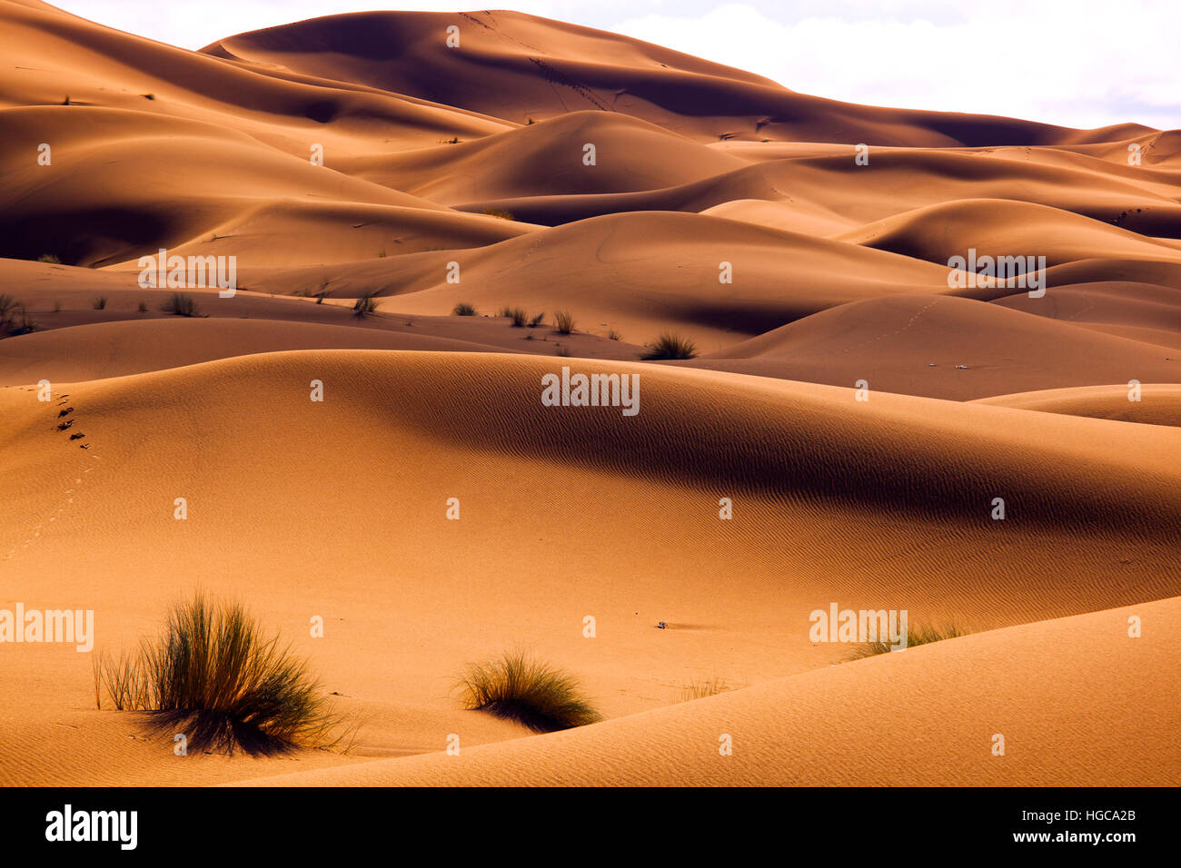 Am frühen Morgen auf den Erg Chebbi Dünen Sahara Wüste Marokko Nordafrika März Stockfoto
