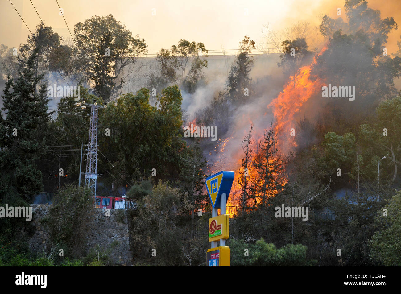 Wildes Feuer in der Stadt Haifa in Israel im November 2016 Stockfoto
