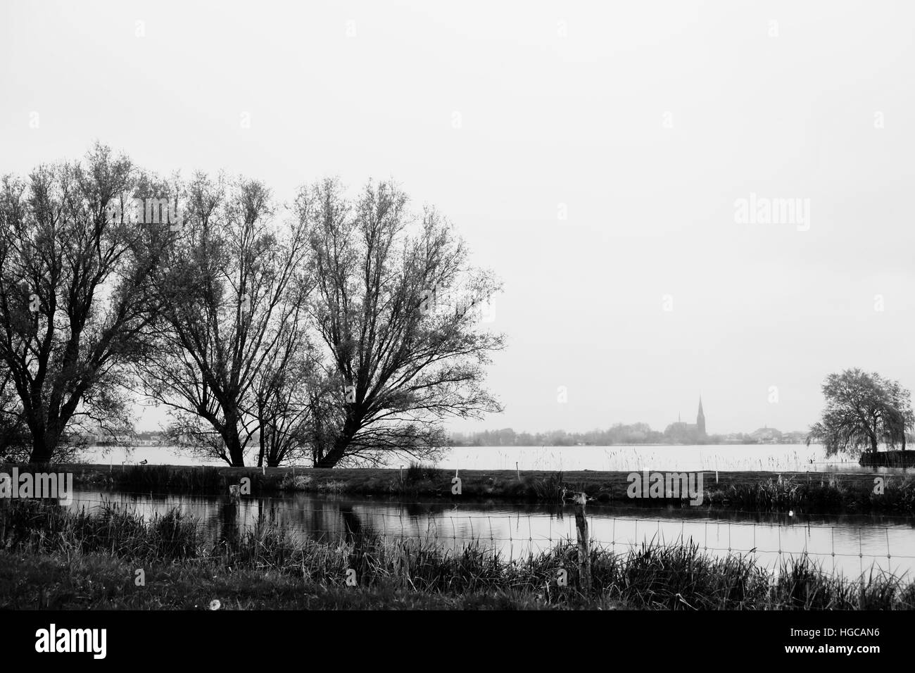 Zwei Bäume am See Langeraarsche Plassen mit Kirche im Hintergrund, Niederlande Stockfoto