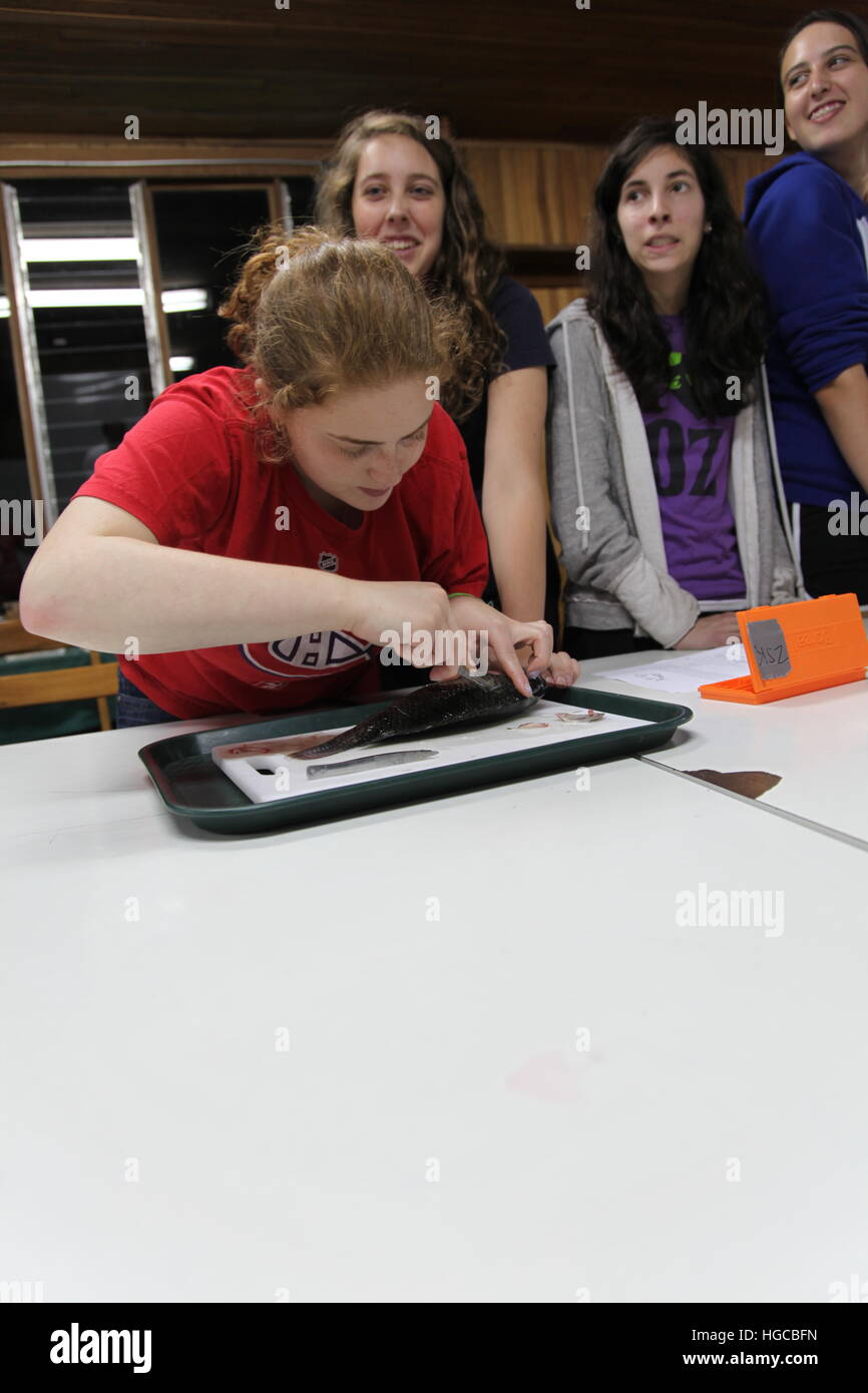 Öko-Abenteuer in Costa Rica Stockfoto