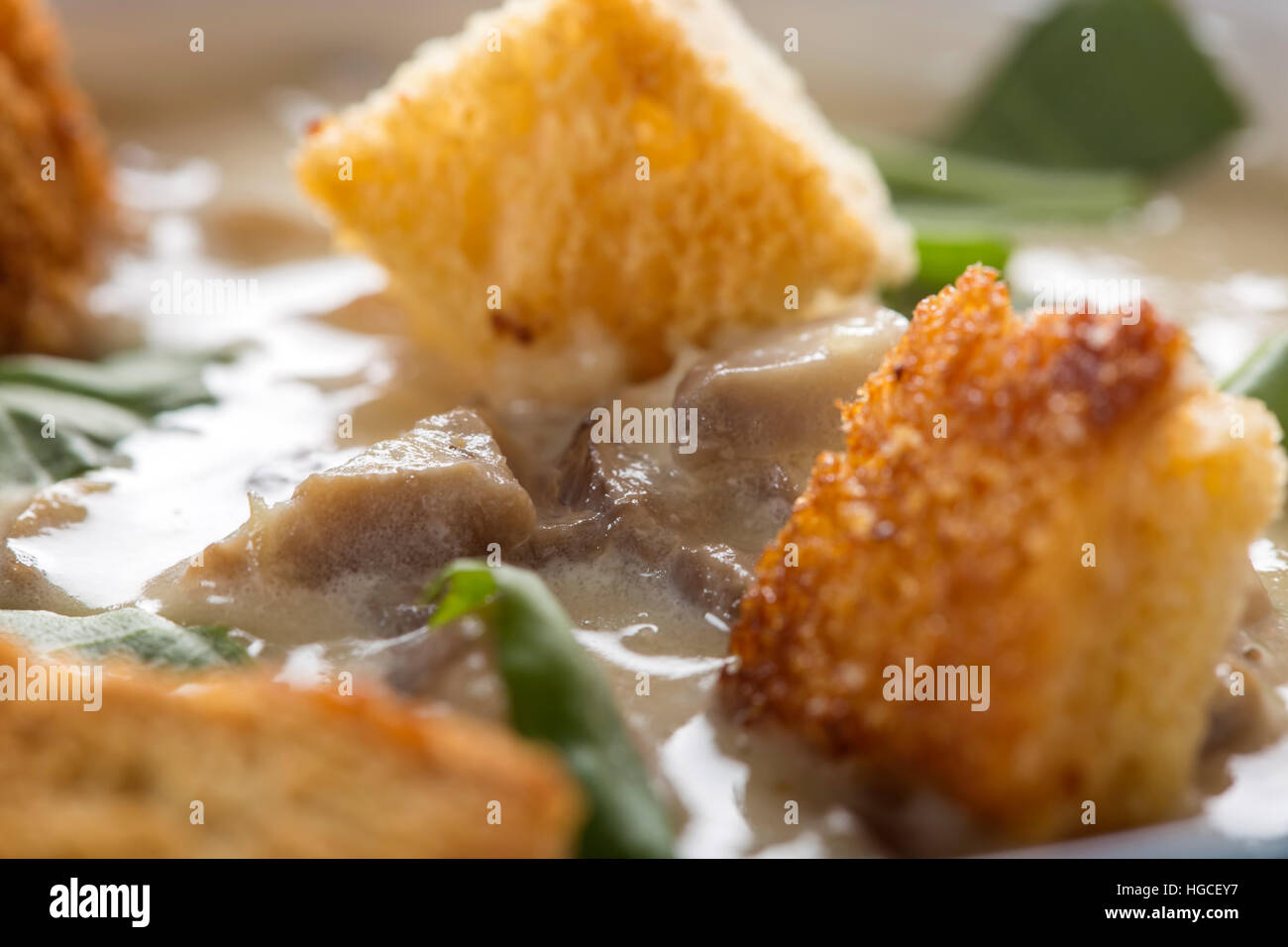 Nahaufnahme von Pilz Creme Suppe in Keramikschale mit croutons Stockfoto