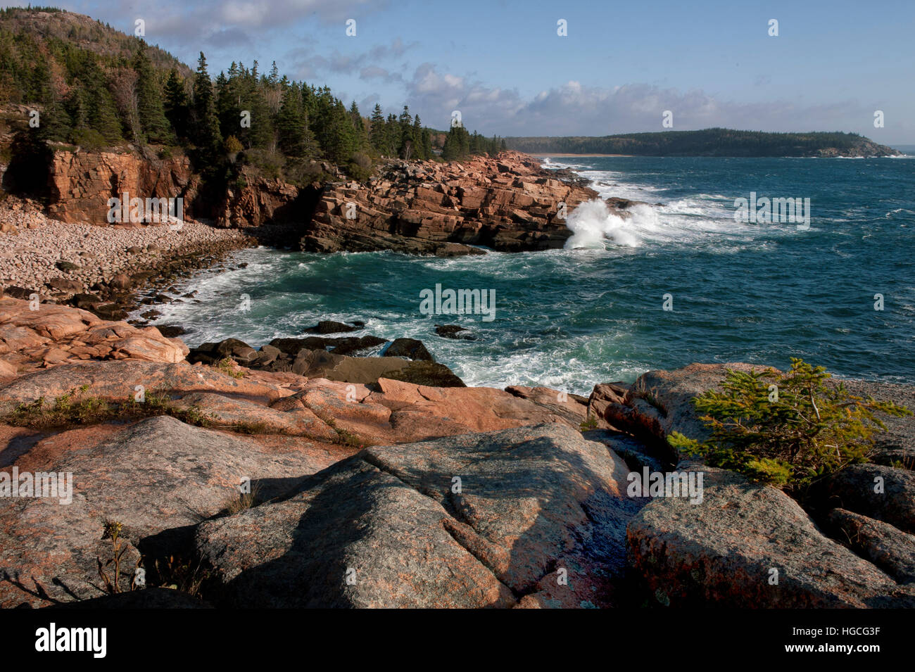 Surfen Sie an der felsigen Küste, die Bucht und die Küste von Acadia Nationalpark in Maine abstürzt. Stockfoto