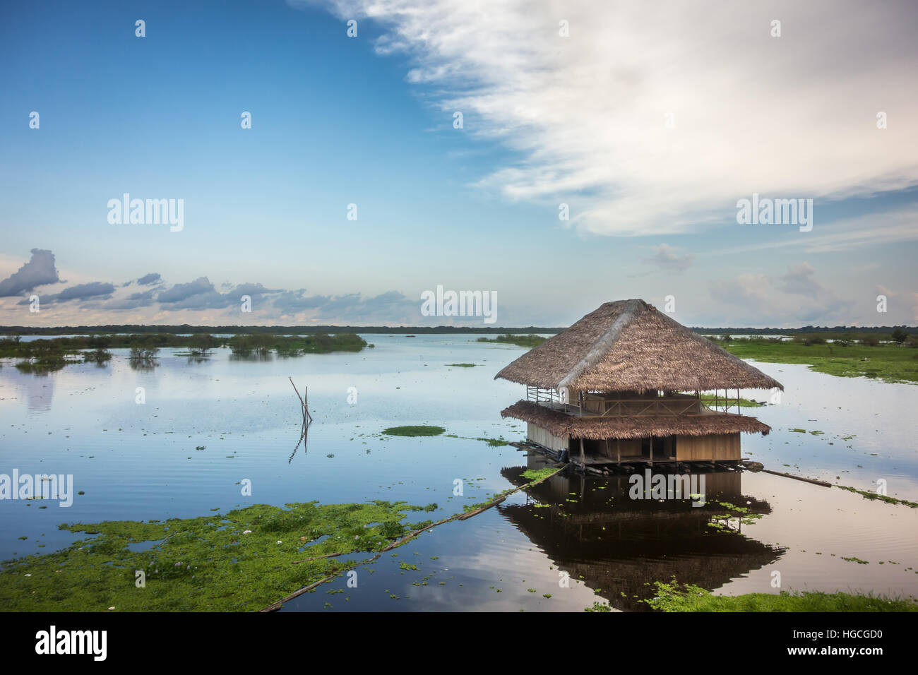 Eine strohgedeckte Hütte an den flachen Ufern des Amazonas-Flusses in der Nähe von Iquitos, Peru. Stockfoto