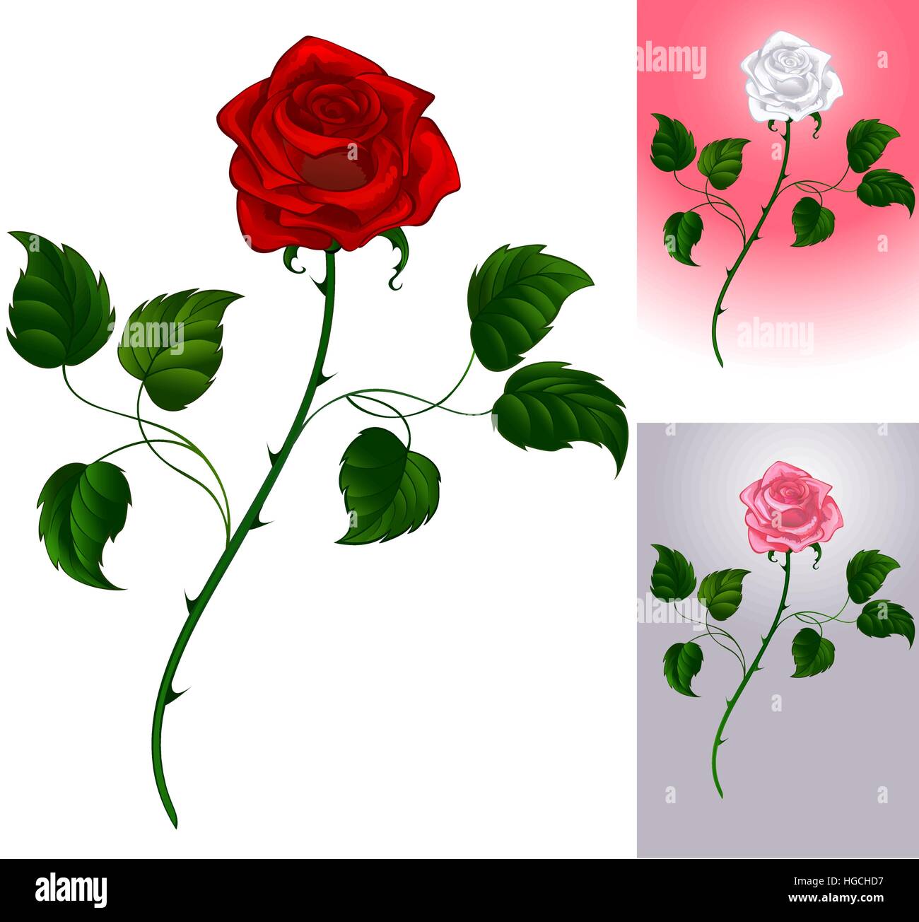 Drei Optionen kunstvoll bemalte Rosen: rot auf weißem Hintergrund, rosa, grau, weiß bis rosa. Stock Vektor