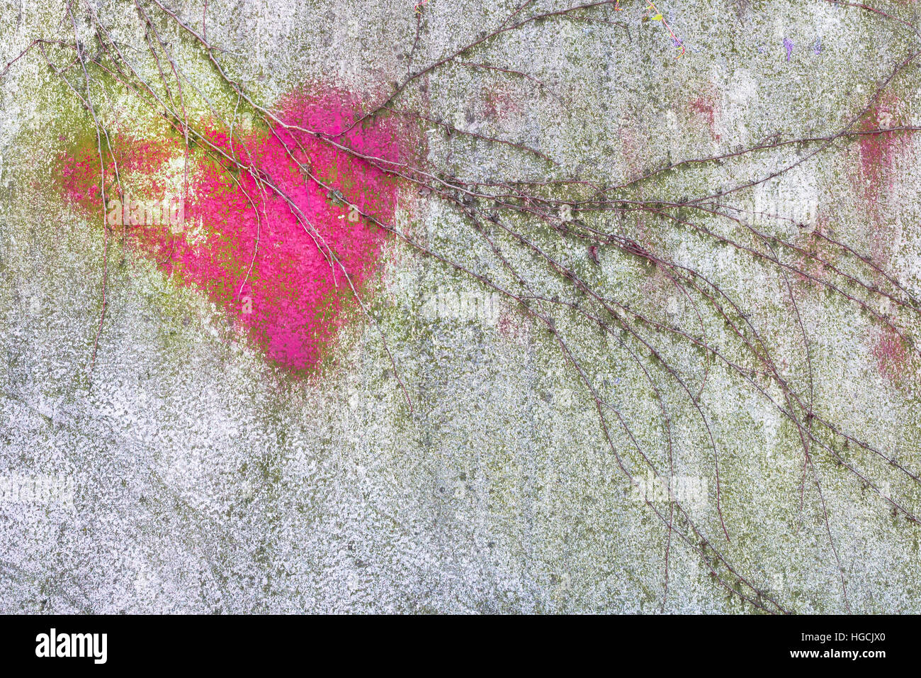 Rosa Herzen an der Wand, teilweise überdacht mit Kletterpflanzen begrünt. Stockfoto