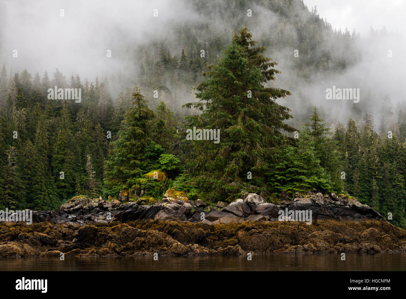 Landschaft der Landschaft Cove, Thomas Bay, Petersburg, südöstlichen Alaska. Thomas Bay befindet sich im südöstlichen Alaska. Es liegt im Nordosten von Petersburg, Alask Stockfoto