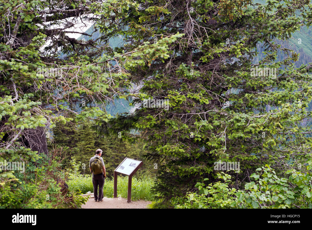 Ein Tourist in einem Signal Information suchen in Mount Roberts. Trekking vom Mt roberts Tramway, Juneau. Alaska. Den oberen Stift von der Straßenbahn ist loc Stockfoto