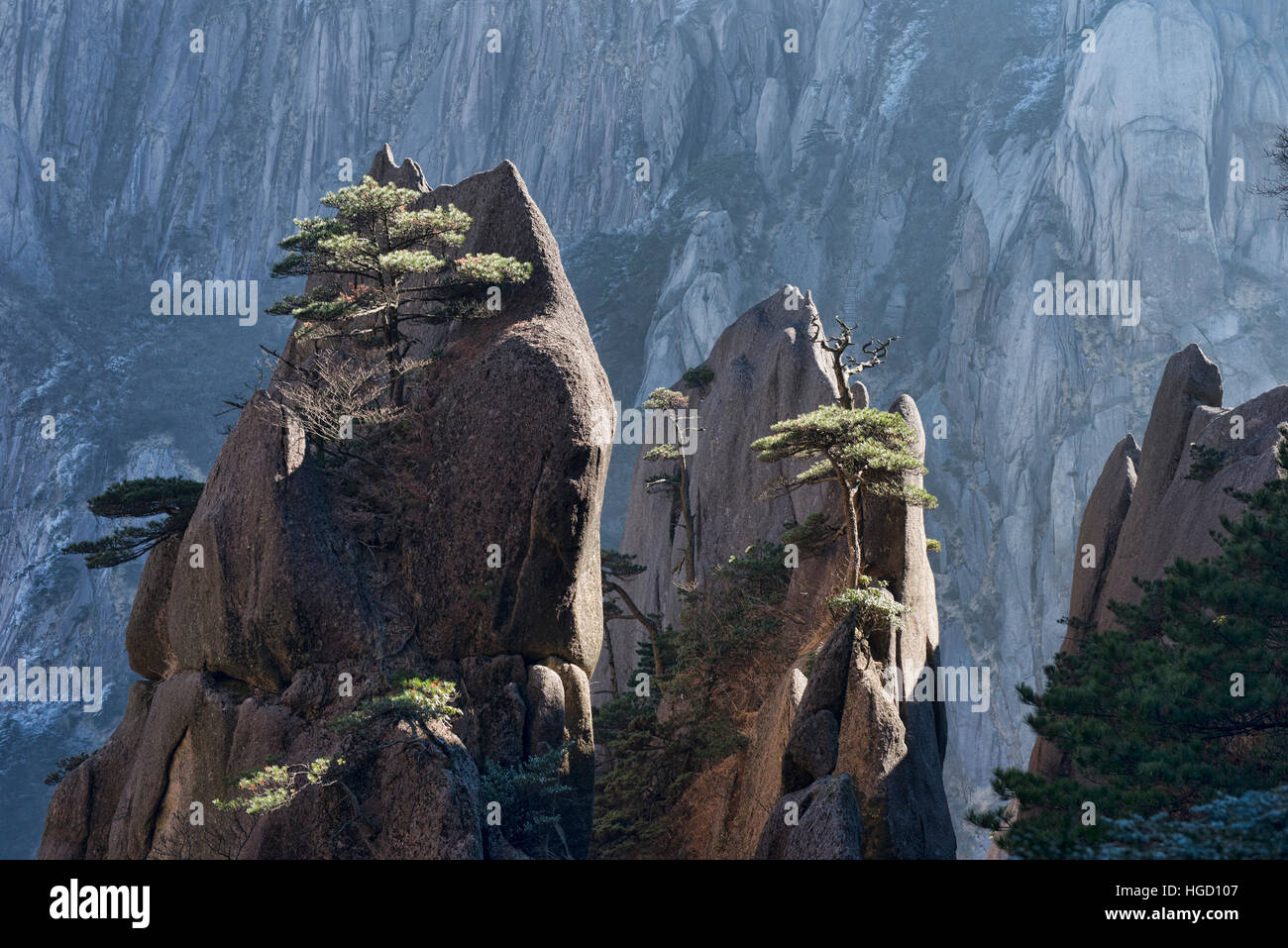 Bäume auf Granit Turmspitzen, Nationalpark Huangshan, Anhui, China Stockfoto