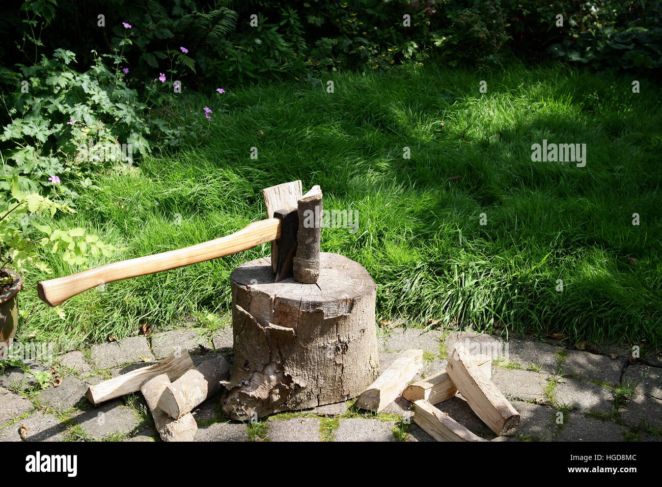 Hackstock mit Woodcleaver Axt in einem Garten. Stockfoto