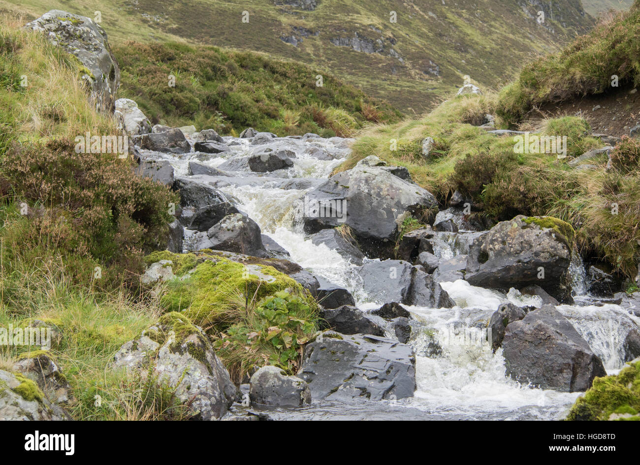 Schottische brennen, fließt nach The Greymares Tail, Moffat, Schottland Stockfoto