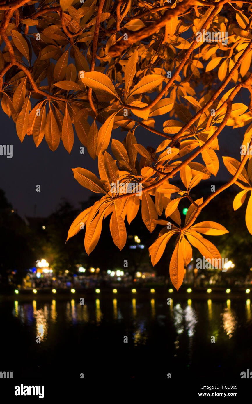 Den Ngoc Som, Hanoi Stockfoto