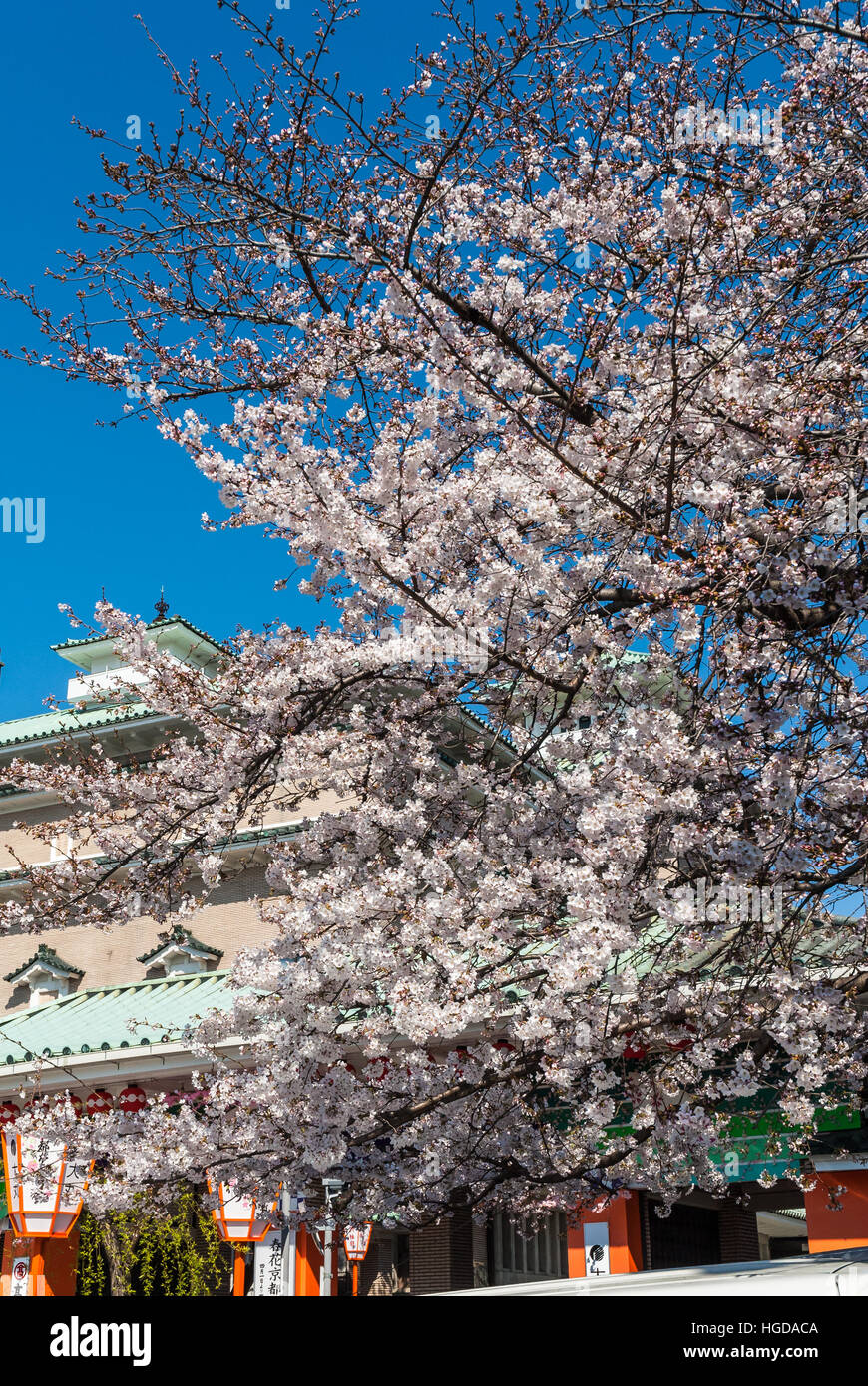 Gion Corner, Kyoto, Japan Stockfoto
