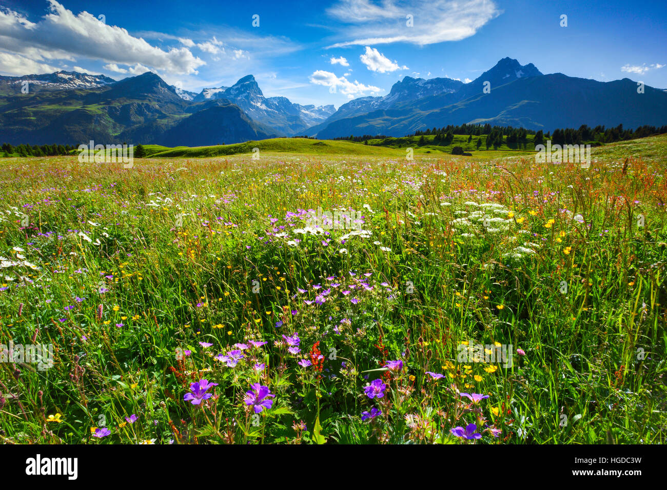 Alp Flix, Graubünden, Schweiz Stockfoto