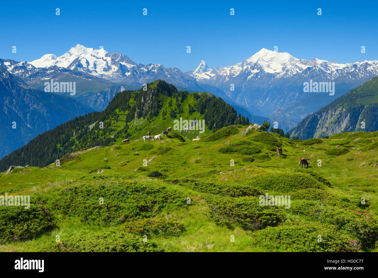 Mischabel, Matterhorn, Weisshorn, Schweizer Alpen, Wallis, Schweiz Stockfoto