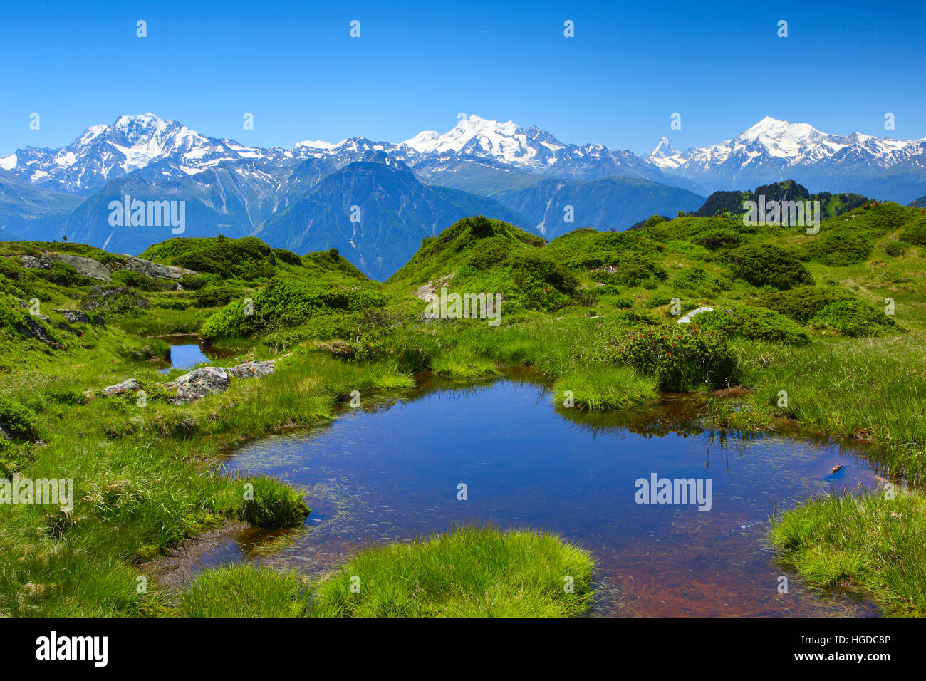 Mischabel, Matterhorn, Weisshorn, Schweizer Alpen, Wallis, Schweiz Stockfoto