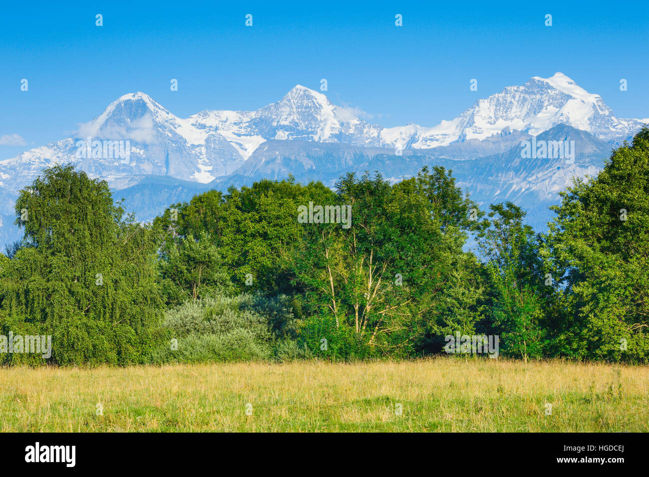 Eiger - 3970 ms, Mönch, Eiger, - 4107 ms, Jungfrau - 4158 ms, Berner Oberland, Schweiz Stockfoto