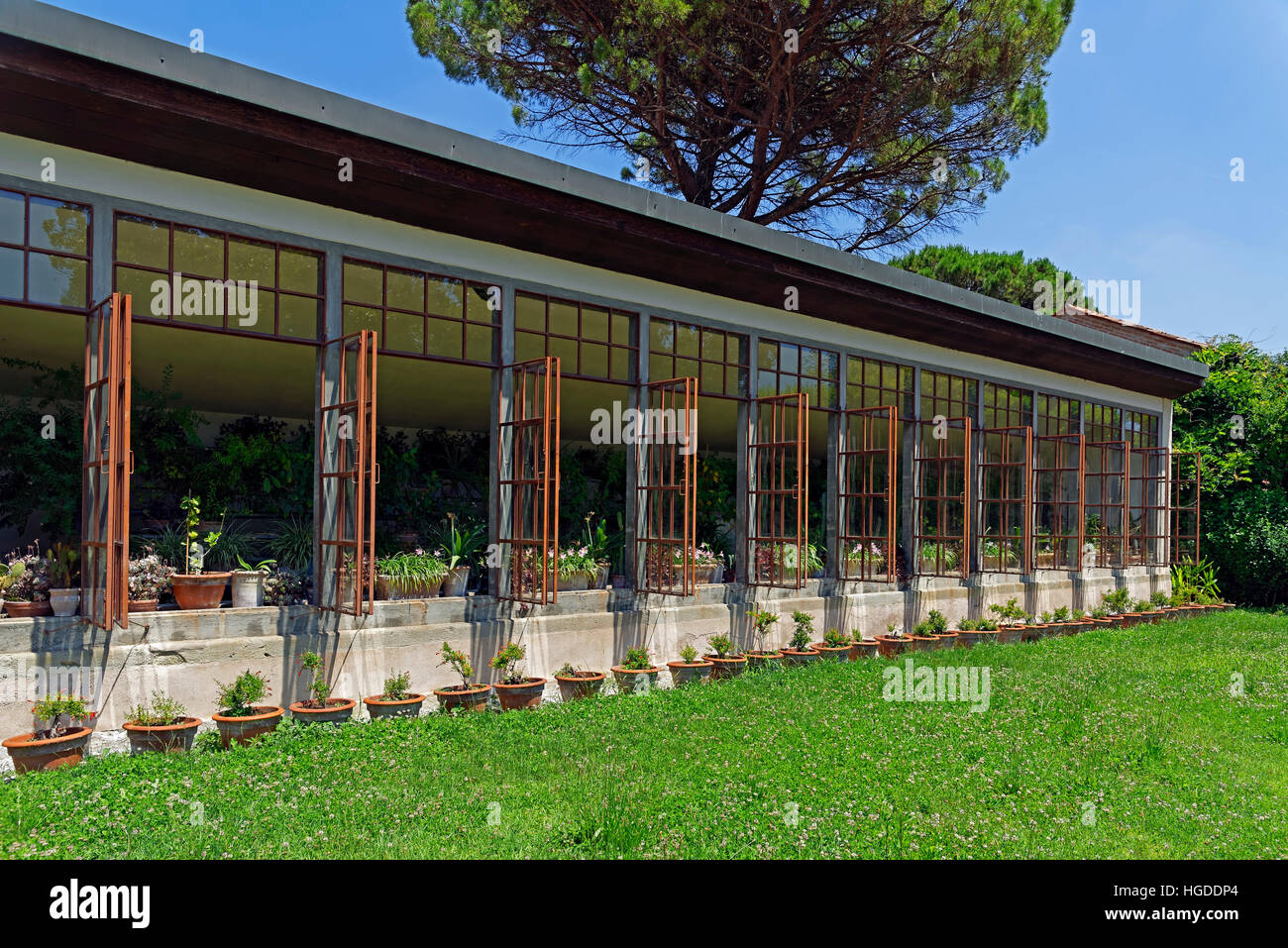 Museo Nazionale di Villa Pisani, Park, Orangerie, Orangen, Tropenhaus, Stockfoto