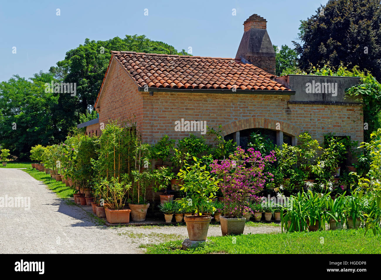 Museo Nazionale di Villa Pisani, Park, Gärtnerei Stockfoto